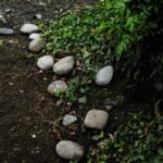 How to Install Garden Edging: 7 Proven Tips to Avoid Costly Mistakes