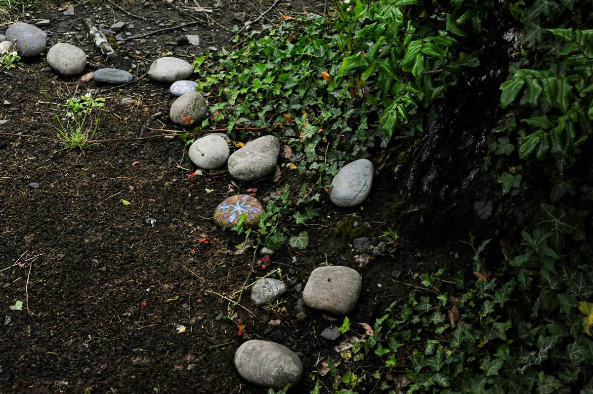 How to Install Garden Edging: 7 Proven Tips to Avoid Costly Mistakes